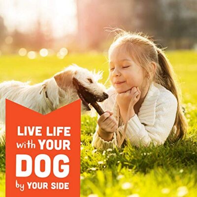 Cloud Star WagCloud Star Wag More Bark Less Original Soft & Chewy Dog Treats, Corn & Soy Free, Baked in USA More Bark Less Original Soft & Chewy Dog Treats - Image 5