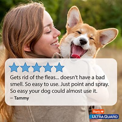 Hartz UltraGuard Plus Flea & Tick Spray for Dogs - Image 5
