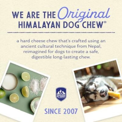 Himalayan Dog Chew Yak Cheese Dog Chews, 100% Natural, Long Lasting, Gluten Free, Healthy & Safe Dog Treats, Lactose & Grain Free, Protein Rich, X-Large Dogs 55 Lbs & Larger, 5.3 oz - Image 4