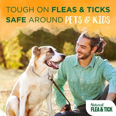 TropiClean Maximum Strength Natural Flea and Tick Dog Shampoo for Flea and Tick Prevention for Dogs | Made in the USA | 20 oz - Image 4