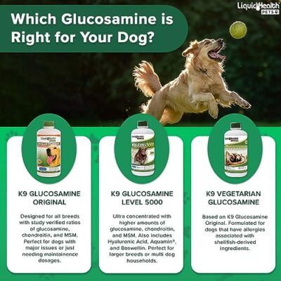 LIQUIDHEALTH 32 Oz K9 Liquid Glucosamine for Dogs, Puppies and Senior Canines - Chondroitin, MSM, Hyaluronic Acid ? Joint Health, Dog Vitamins Hip Joint Juice, Dog Joint Oil - Image 7