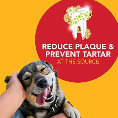 Petrodex Toothpaste for Dogs and Puppies, Cleans Teeth and Fights Bad Breath, Reduces Plaque and Tartar Formation, Enzymatic Toothpaste, Peanut Flavor, 2.5oz - Image 6