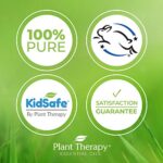 Plant Therapy Cedarwood Atlas Essential Oil 100% Pure, Undiluted, Natural Aromatherapy, Therapeutic Grade 10 mL (1/3 oz) - Image 4
