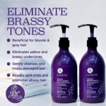 Luseta Purple Shampoo and Conditioner Set for Blonde, Gray - Color Treated Hair - Sulfate Free Paraben Free - Infused with Cocos Nucifera Oil for Curly and Damaged Hair - 2x16.9oz - Image 2