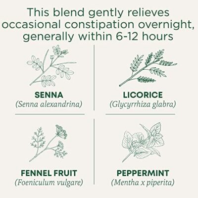 Traditional Medicinals Tea, Organic Smooth Move Peppermint, Relieves Occasional Constipation, Senna, 16 Tea Bags - Image 2