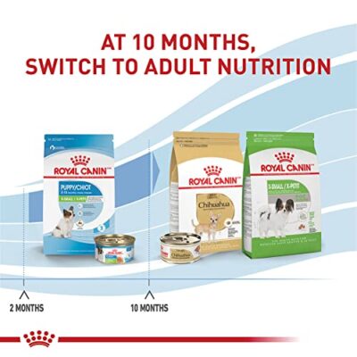 Royal Canin Size Health Nutrition X-Small Breed Dry Puppy Food, Supports Brain Development, Immune Support and Digestive Health, 3 lb Bag - Image 6