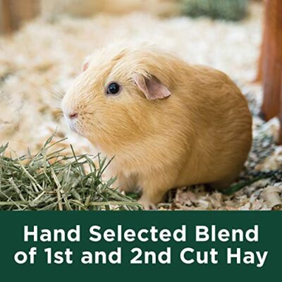 Kaytee All Natural Timothy Hay Plus Marigolds for Guinea Pigs, Rabbits & Other Small Animals, 24 Ounce - Image 6