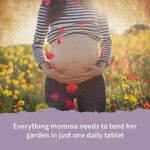 Garden of Life Organics Prenatal Vitamin: Folate for Energy & Healthy Fetal Development, Non-constipating Iron, Vitamin C, B6, B12, D3 ? Organic, Non-GMO, Gluten-Free, Vegan, 30 Day Supply - Image 3