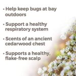 Plant Therapy Cedarwood Atlas Essential Oil 100% Pure, Undiluted, Natural Aromatherapy, Therapeutic Grade 10 mL (1/3 oz) - Image 2