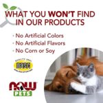 NOW Pet Health, G.I. Support Supplement, Formulated for Cats & Dogs, NASC Certified, 90 Chewable Tablets - Image 7