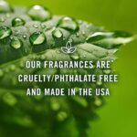 P&J Trading Fragrance Oil Summer Set | Candle Scents for Candle Making, Freshie Scents, Soap Making Supplies, Diffuser Oil Scents - Image 6
