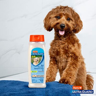 Hartz UltraGuard Rid Flea & Tick Oatmeal Dog Shampoo, Model:3270002305 - Image 5