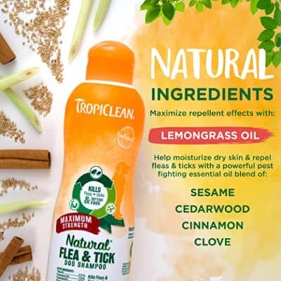 TropiClean Maximum Strength Natural Flea and Tick Dog Shampoo for Flea and Tick Prevention for Dogs | Made in the USA | 20 oz - Image 3