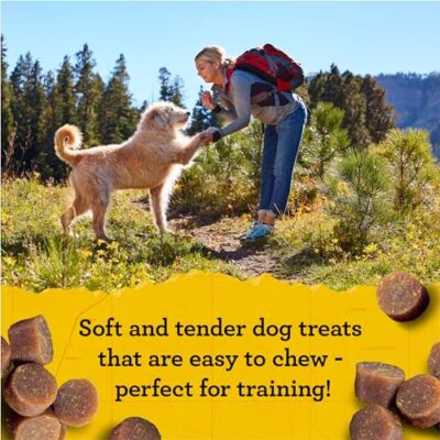 Zuke?s Mini Naturals Soft And Chewy Dog Treats For Training Pouch, Natural Treat Bites With Chicken Recipe - 16 oz. Bag - Image 2