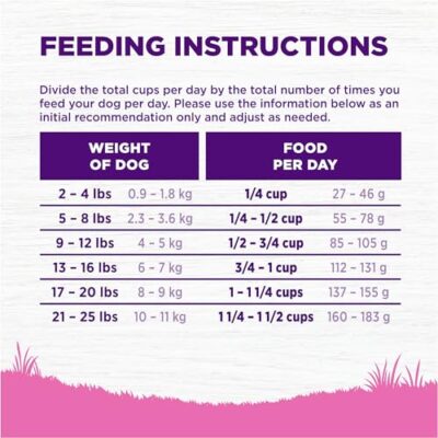 Wellness Complete Health Toy Breed Dry Dog Food with Grains, Chicken & Rice, 4-Pound Bag (Packaging may vary) - Image 8