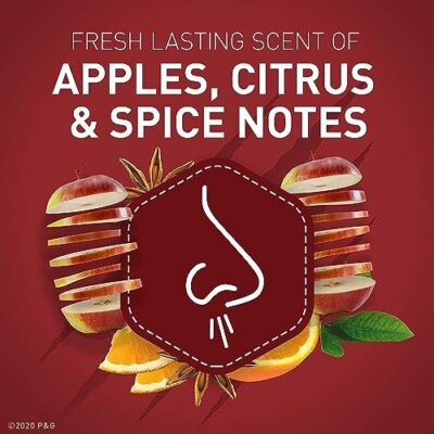 Old Spice Antiperspirant and Deodorant for men, 24/7 Sweat and Odor Protection, Bearglove Scent, Invisible Solid Stick, Twin Pack, 2 x 2.6oz - Image 4