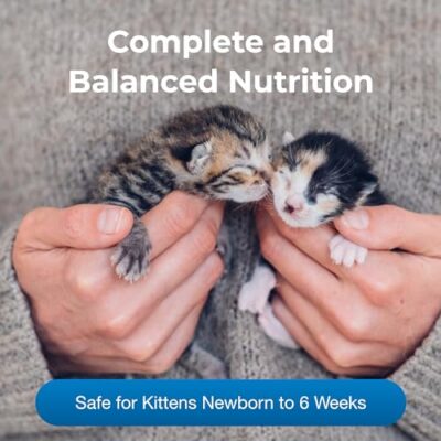 Pet-Ag KMR Kitten Milk Replacer Powder - 12 oz - Powdered Kitten Formula with Prebiotics, Probiotics & Vitamins for Kittens Newborn to Six Weeks Old - Easy to Digest - Image 3