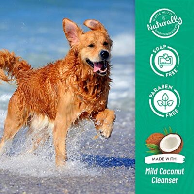 TropiClean Lime & Coconut Deshedding Dog Shampoo for Shedding Control | Natural Pet Shampoo Derived from Natural Ingredients | Cat Friendly | Made in the USA | 20 oz. - Image 3