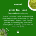 Method Foaming Hand Soap, Green Tea + Aloe, Biodegradable Formula, 10 Fl Oz (Pack of 6) - Image 3