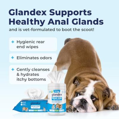 Vetnique Labs Glandex Dog Wipes for Pets Cleansing & Deodorizing Anal Gland Hygienic Dog & Cat Wipes with Vitamin E, Skin Conditioners and Aloe (75ct) - Image 6