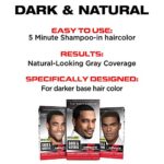 SoftSheen-Carson Dark & Natural Hair Color for Men 5 Minutes, Natural Looking Gray Coverage for Up To 6 Weeks, Shampoo-in Permanent Hair Dye, Jet Black, Ammonia Free, Jet Black - Image 7