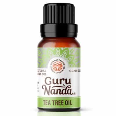 GuruNanda Tea Tree Essential Oil (0.5 Fl Oz) - 100% Pure, Natural and Undiluted Essential Oil for Diffusers - Perfect for Aromatherapy, Massages & DIY Recipes - Helps in Skin and Hair Care
