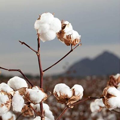 Organyc 100% Organic Cotton Rounds - Biodegradable Cotton, Chemical Free, For Sensitive Skin (70 Count) - Daily Cosmetics. Beauty and Personal Care - Image 6