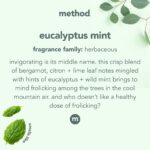 Method Daily Shower Spray Cleaner, Eucalyptus Mint, 28 Ounce, 2 pack, Packaging May Vary - Image 3
