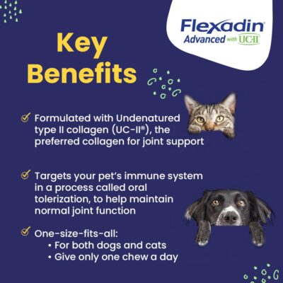 Vetoquinol Flexadin Advanced Dog Hip and Joint Supplement with UC-II Collagen, One Chew a Day Hip and Joint Support Chew for Dogs and Cats, Clinically Proven Vet-Approved Formula, 30 Chews - Image 2