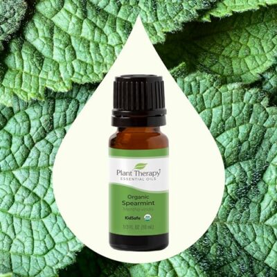 Plant Therapy USDA Certified Organic Spearmint Essential Oil 10 mL (1/3 oz) 100% Pure, Undiluted, Therapeutic Grade - Image 3