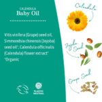Earth Mama Calendula Baby Oil | Massage Oil for Newborn Skin Care, Dry Skin & Scalp Moisturizer, Fragrance Free, 4-Fluid Ounce (2-Pack) - Image 6