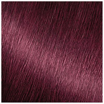 Garnier Hair Color Nutrisse Nourishing Creme, 462 Dark Berry Burgundy (Sugar Beet) Red Permanent Hair Dye, 1 Count (Packaging May Vary) - Image 2