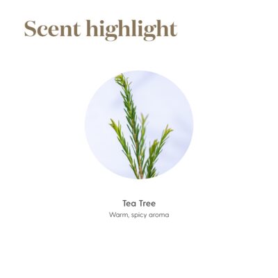Young Living Tea Tree (Melaleuca Alternifolia) Essential Oil - 5ml Bottle - Clear and Healthy Complexion - Inhale the refreshing aroma of Tea Tree Oil to support clear breathing - Image 5