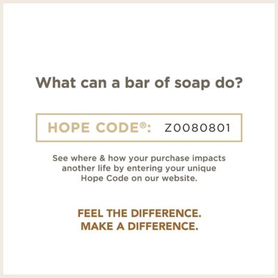 Soapbox Liquid Hand Soap, Coconut Milk & Sandalwood, Gentle & Moisturizing Hand Wash for Kitchen and Bathroom, Vegan & Cruelty Free Scented Hand Soap 12 Ounce Pump Bottles (Pack of 3) - Image 9