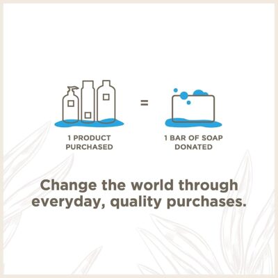 Soapbox Liquid Hand Soap, Coconut Milk & Sandalwood, Gentle & Moisturizing Hand Wash for Kitchen and Bathroom, Vegan & Cruelty Free Scented Hand Soap 12 Ounce Pump Bottles (Pack of 3) - Image 8