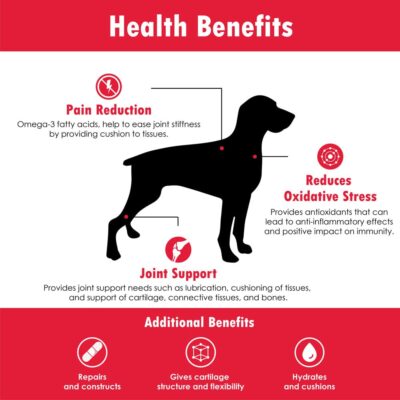 PHS Joint MAX Triple Strength (TS) Chewable Tablets for Dogs - Glucosamine, Chondroitin, MSM - Vitamins, and Antioxidants - Hip and Joint Pain Relief and Support Supplement - Made in USA - 120 Tablets - Image 5