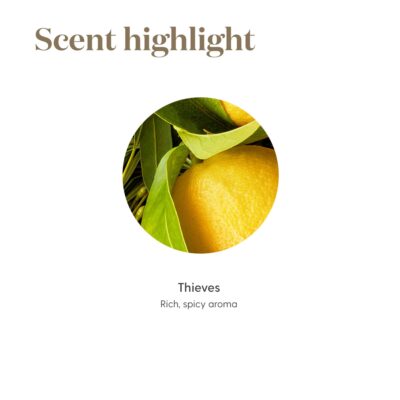 Young Living Thieves Essential Oil Blend 5ml | 100% Pure Essential Diffuser Oil with Rosemary Oil, Cloves, Lemon & Four Thieves Oil | Perfect for Aromatherapy - Image 6