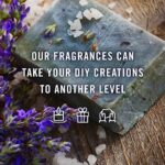 P&J Trading Fragrance Oil Summer Set | Candle Scents for Candle Making, Freshie Scents, Soap Making Supplies, Diffuser Oil Scents - Image 2