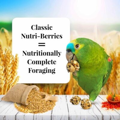 LAFEBER'S Classic Nutri-Berries Pet Bird Food, Made with Non-GMO and Human-Grade Ingredients, for Parrots, 3.25 lb - Image 2