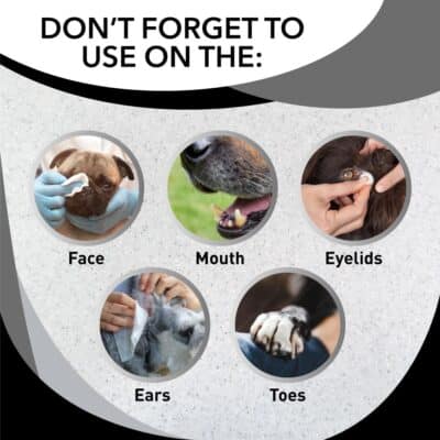 Skunk Off Pet Shampoo ? Ready to Use Skunk Odor Remover for Dogs, Cats, Home, Carpet, Car & More ? Non-Enzymatic Skunk Shampoo Dogs ? Pet Odor Eliminator for Skunk Odor (8 oz) - Image 3
