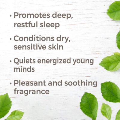 Plant Therapy Niaouli 1,8-Cineole Essential Oil 10 mL (1/3 oz) 100% Pure, Undiluted, Therapeutic Grade - Image 2