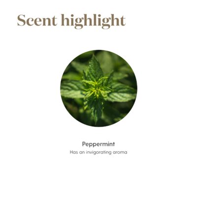 Young Living Peppermint Essential Oil 5ml | Ideal for Muscle Relaxation | Invigorating Mint Aroma | Cooling Sensation | Aromatherapy Diffuser at Home or After a Workout - Image 5