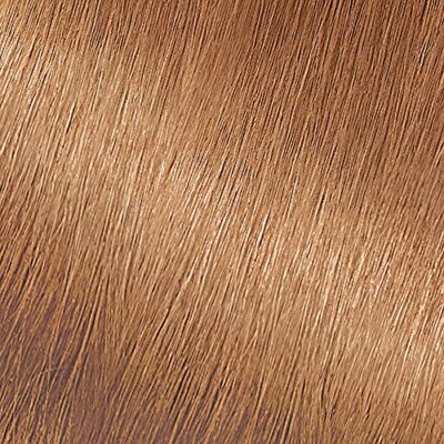 Garnier Nutrisse Nourishing Hair Color Creme, 73 Dark Golden Blonde (Honey Dip) (Packaging May Vary) - Image 2