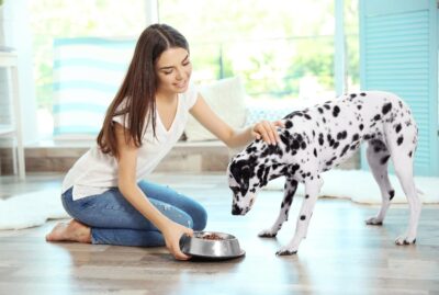 Van Ness Pets Medium Non Tip Stainless Steel Dog Bowl, 32 OZ Food and Water Dish, Wide Base Prevents Spills - Image 2