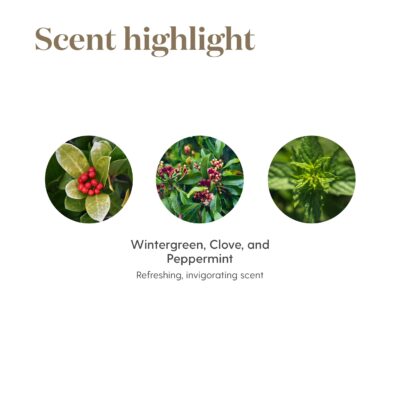 Young Living PanAway 5ml - Soothing Essential Oil Blend of Clove, Helichrysum, Peppermint, and Wintergreen for Natural Relief of Aches and Discomfort - Image 5