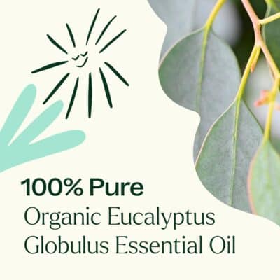 Plant Therapy Organic Eucalyptus Globulus Essential Oil 100% Pure, USDA Certified Organic, Undiluted, Natural Aromatherapy, Therapeutic Grade 10 mL (1/3 oz) - Image 6