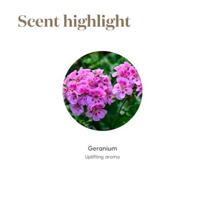 Young Living Geranium 15ml - Promotes Blemish & Fine Line Reduction - Premium Essential Oil for Radiant Skin & Aromatherapy - Natural Beauty and Youthful Skin Appearance - Image 5
