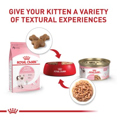 Royal Canin Feline Health Nutrition Kitten Thin Slices in Gravy Canned Cat Food, 3 oz can (24-count) - Image 8