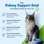 Pet Wellbeing Kidney Support Gold for Cats - Vet-Formulated - Supports Healthy Kidney Function in Cats - Natural Herbal Supplement 2 oz (59 ml) - Image 4