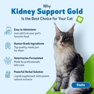 Pet Wellbeing Kidney Support Gold for Cats - Vet-Formulated - Supports Healthy Kidney Function in Cats - Natural Herbal Supplement 2 oz (59 ml) - Image 4